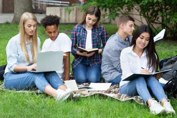 aods qui revisent dans l'herbe
